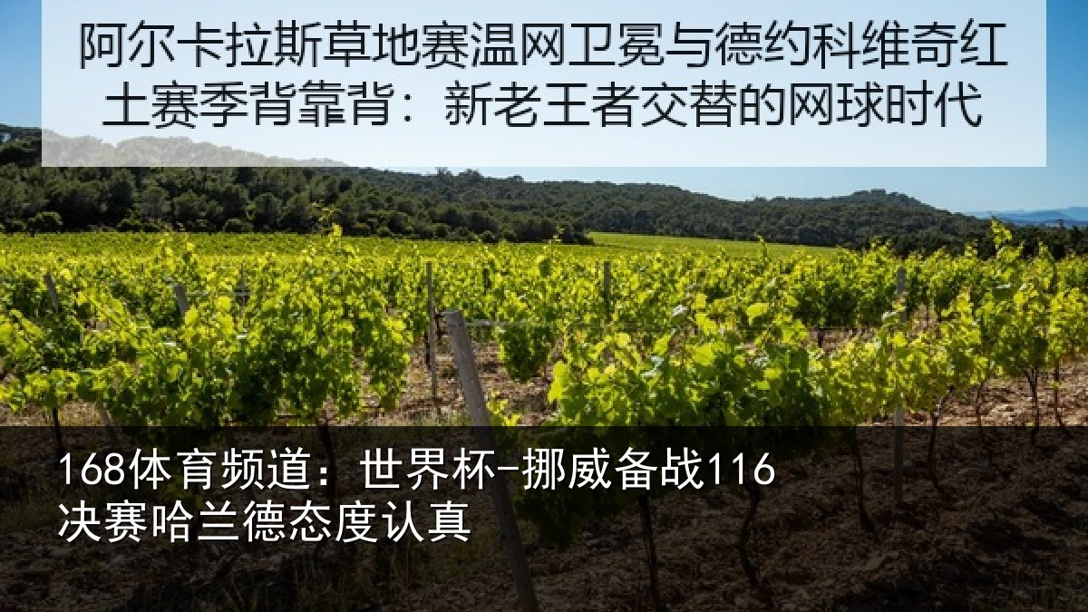 168体育频道：世界杯-挪威备战116决赛哈兰德态度认真