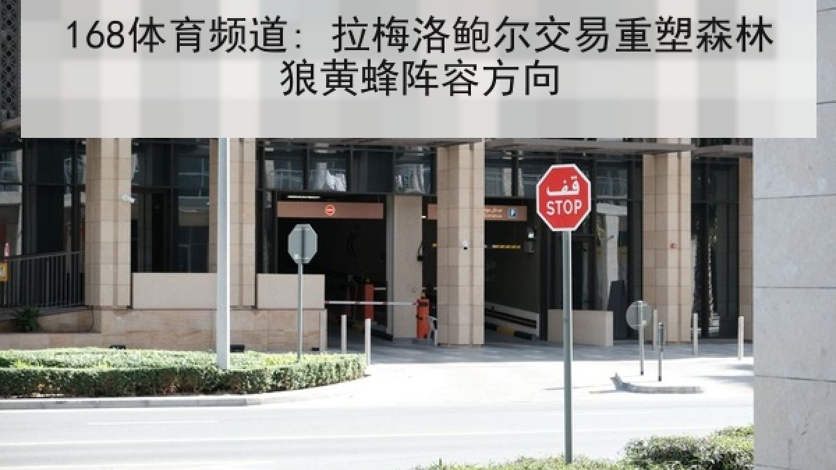 168体育频道: 拉梅洛鲍尔交易重塑森林狼黄蜂阵容方向