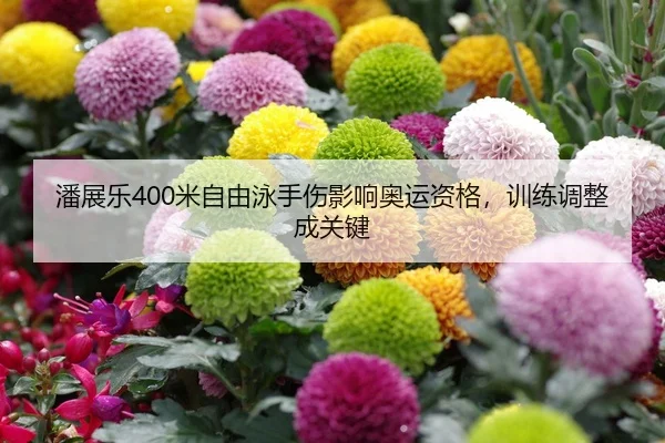 潘展乐400米自由泳手伤影响奥运资格，训练调整成关键