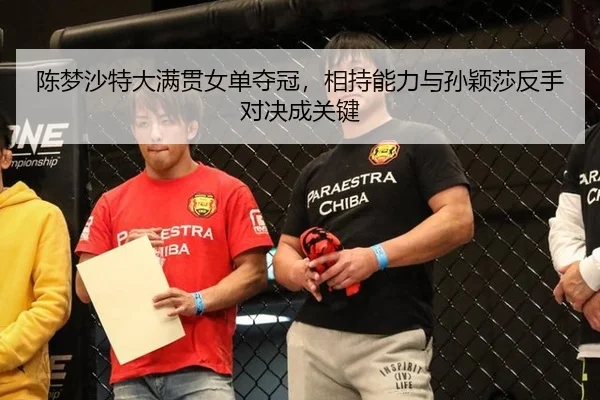 chen-meng-sha-te-da-man-guan-nv-dan-duo-guan-xiang-chi-neng-li-yu-sun-ying-sha-fan-shou-dui-jue-cheng-guan-jian-3-741.jpg